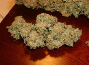 Royal Queen Seeds - SWEET SKUNK AUTOMATIC | Autoflowering cannabis seeds - Image 8