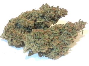 Royal Queen Seeds - SWEET SKUNK AUTOMATIC | Autoflowering cannabis seeds - Image 6