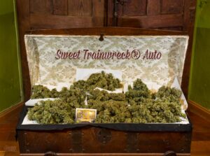 sweet-trainwreck-autoflower-growshop-growmart