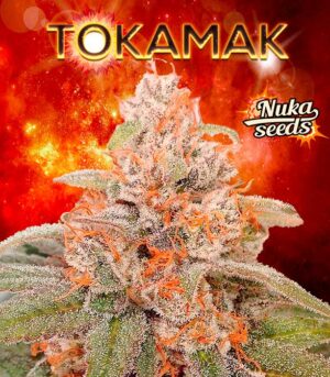 Nuka Seeds Tokamak semínka konopí