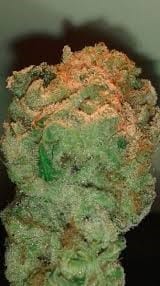 výborné léčivé konopí sad sweet afgani delicious cbd
