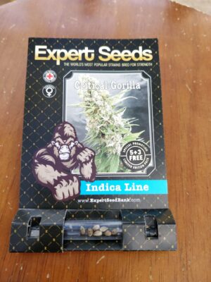 Vynikající semínka marihuany Critical Gorilla